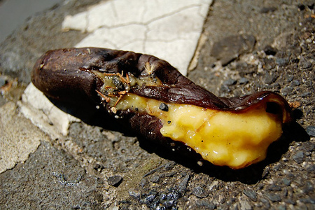 banana gross