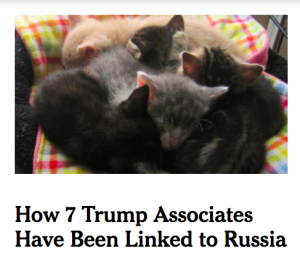 block trump with kittens