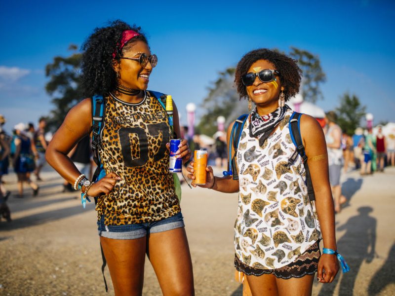 Bonnaroo fans