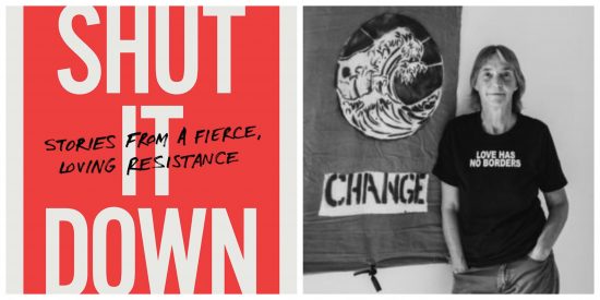 shut it down by lisa fithian rebellious gift guide
